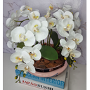 Ver imagem 2 de Arranjo Com 4 Orquídeas Branca Vaso Rose 28cm