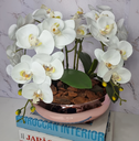 Ver imagem 3 de Arranjo Com 4 Orquídeas Branca Vaso Rose 28cm
