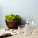 Ver imagem 3 de Moringa De Vidro Dublin Transparente 500/145ml - Lyor