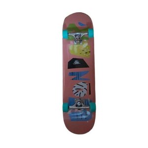 Skate Iniciante Hondar