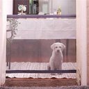 Ver imagem 2 de Tela Grade de Proteçao Kit 6 Uni Rede Pet Cachorro Gato Criança Bebe Cerca Escada Corredor Quintal V