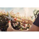 Ver imagem 4 de Tesoura para Cerca-Viva/Grama Tramontina com Lâminas Metálicas e Cabos de Madeira Tramontina