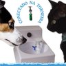 Bebedouro Eletrico para Gatos com Agua Direto da Torneira - 1
