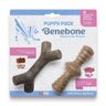 Brinquedo de Roer para Cães Filhotes Benebone Puppy 2- Pack Zaggler + Maplestick - 1