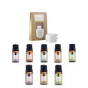 Ver imagem 1 de Kit 8 Essências Via Aroma E Aromatizador Elétrico Porcelana