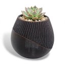 Ver imagem 1 de Vaso Vasinho Decorativo 3D Suculentas Moderno Cacto Cachepot - Vaso Bola