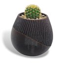 Ver imagem 6 de Vaso Vasinho Decorativo 3D Suculentas Moderno Cacto Cachepot - Vaso Bola