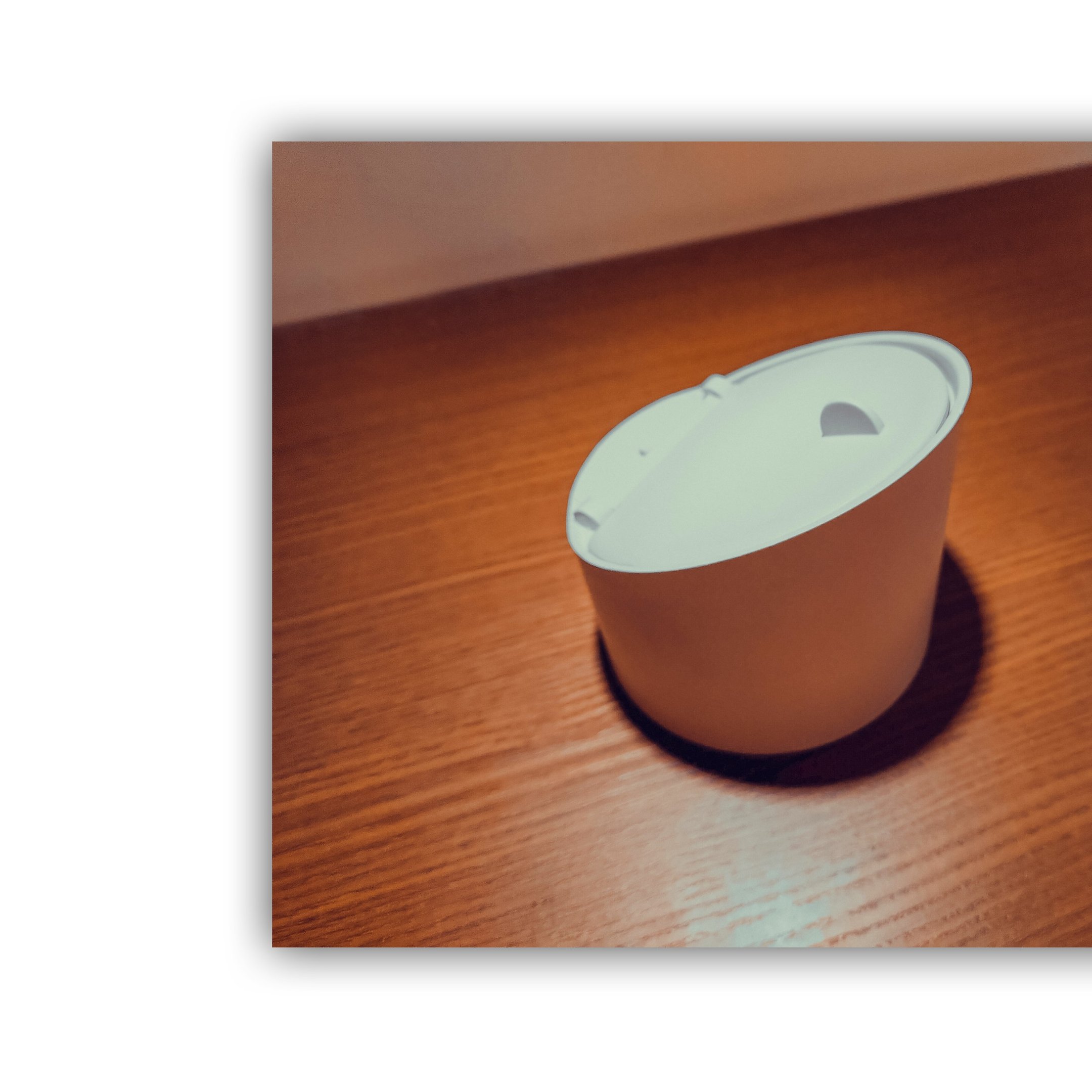 Válvula de Retenção Anti-Rato para Canos Pvc 3" - 2