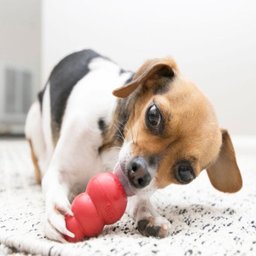 Brinquedo Kong Recheavel Classic Extra Pequeno para Cães - 5