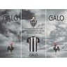 Adesivo Geladeira Envelopamento atlético mineiro galo - 1