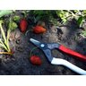 Tesoura Okatsune Curva 301/162mm para Colher Frutas e Vegetais - 7