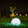 Bola Brilhante Max Glow Chuck It Brilha no Escuro para Cães - 1