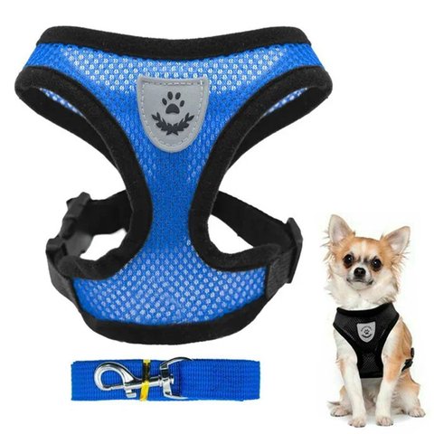 Coleira Peitoral Refletivo com Guia Cachorro Cães Gato Pet Azul Xl(gg)
