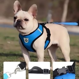 Coleira Peitoral Refletivo com Guia Cachorro Cães Gato Pet Azul Xl(gg) - 2