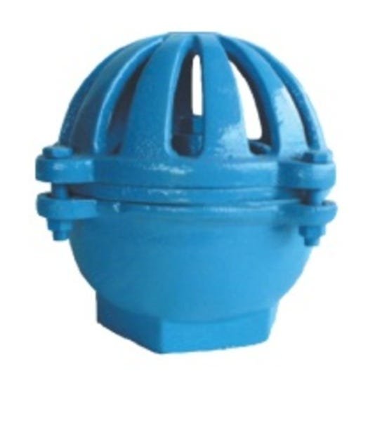 Válvula De Pé (cebola) Ferro Fundido Azul 1.1/4" - 1