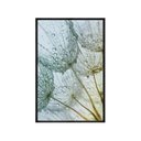 Ver imagem 1 de Quadro Decorativo - Dente de Leao Orvalho Flnt041 - Vidro com Impressão Uv - 60x40cm