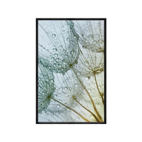 Quadro Decorativo - Dente de Leao Orvalho Flnt041 - Vidro com Impressão Uv - 60x40cm