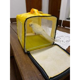 Bolsa de transporte de calopsita caixa para transportar - 2