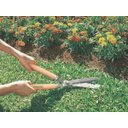 Ver imagem 2 de Tesoura Cerca Viva 12 Lamina Serrilhadas Tramontina