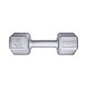 HALTER DUMBBELL SEXTAVADO GALVANIZADO 8 KG - 1