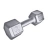 HALTER DUMBBELL SEXTAVADO GALVANIZADO 8 KG - 3