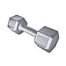 HALTER DUMBBELL SEXTAVADO GALVANIZADO 8 KG - 2
