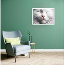 Ver imagem 1 de Quadro Decorativo Gato Olhos Fechados - 50x70cm:moldura Branca