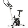 Bicicleta Magnética de Exercícios Ergométrica Wct Fitness 442500 - 2