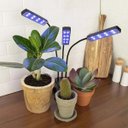 Ver imagem 5 de Lampada de Cultivo Luminaria Led Planta Crescimento Luz Ultravioleta Uv Temporizador Horta Estufa Te