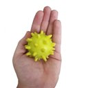 Ver imagem 2 de Brinquedo Para Cachorro Pote 12 Bola Cravo Borracha Pet Shop - Cores sortidas