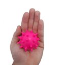 Ver imagem 7 de Brinquedo Para Cachorro Pote 12 Bola Cravo Borracha Pet Shop - Cores sortidas