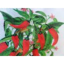 Ver imagem 4 de Caminho de Mesa Rendado Estampa Pimentas 1,50m X 40cm [branco]