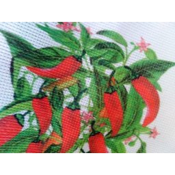 Caminho de Mesa Rendado Estampa Pimentas 1,50m X 40cm [branco] - 4