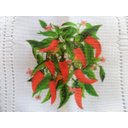 Ver imagem 2 de Caminho de Mesa Rendado Estampa Pimentas 1,50m X 40cm [branco]