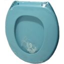 Ver imagem 2 de Assento Sanitário Oval Plástico Azul 1 Astra