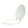 Assento Sanitário Laqueado Saveiro Branco - Celite - 2
