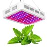 Painel Led Grow Super Chip 1000W Indoor Full Spectrum Ir Uv - 2
