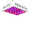 Painel Led Grow Super Chip 1000W Indoor Full Spectrum Ir Uv - 1