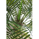Ver imagem 5 de Árvore Planta Palmeira Fênix (21 folhas) 190cm Realista