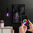 Ver imagem 2 de Lâmpada Led Smart Wi-fi Inteligente G95 Filamento 6w E27 Rgb Taschibra