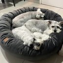 Ver imagem 1 de Cama Nuvem Veludo xg 100x100:Cinza Escuro Veludo