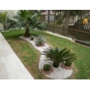 Ver imagem 1 de Separador Limitador de Grama Com Borda 50 Mts Verde