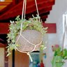 Vaso De Flores Em Fibra De Coco Natural Koquimdama - 2