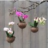 Vaso De Flores Em Fibra De Coco Natural Koquimdama - 5
