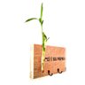 Porta Chaves em Madeira com Bambu da Sorte (40cm) - Modelo 2 - 2
