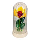 Ver imagem 1 de Luminária Flor Do Filme Enrolados Rapunzel Lírio Encantado G