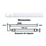 Lâmpada Tubo Led Vidro T8 18w 6500k Ecolume Kit 25 peças - 3