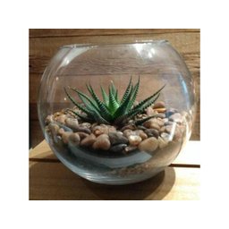 Vaso Aquário Redondo Grande Vidro 4,5 Litros Decoração - 4
