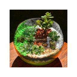 Vaso Aquário Redondo Grande Vidro 4,5 Litros Decoração - 2