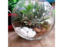Ver imagem 3 de Vaso Aquário Redondo Grande Vidro 4,5 Litros Decoração